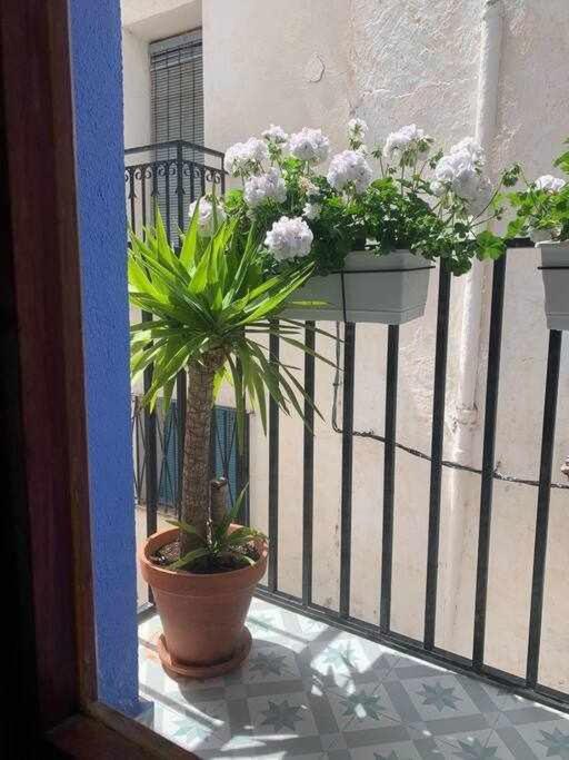 Casa Ziba Casco Antiguo Wifiaa Lejlighed Peñíscola Eksteriør billede