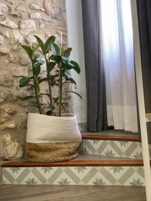 Casa Ziba Casco Antiguo Wifiaa Lejlighed Peñíscola Eksteriør billede